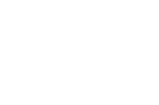 bluebee logo